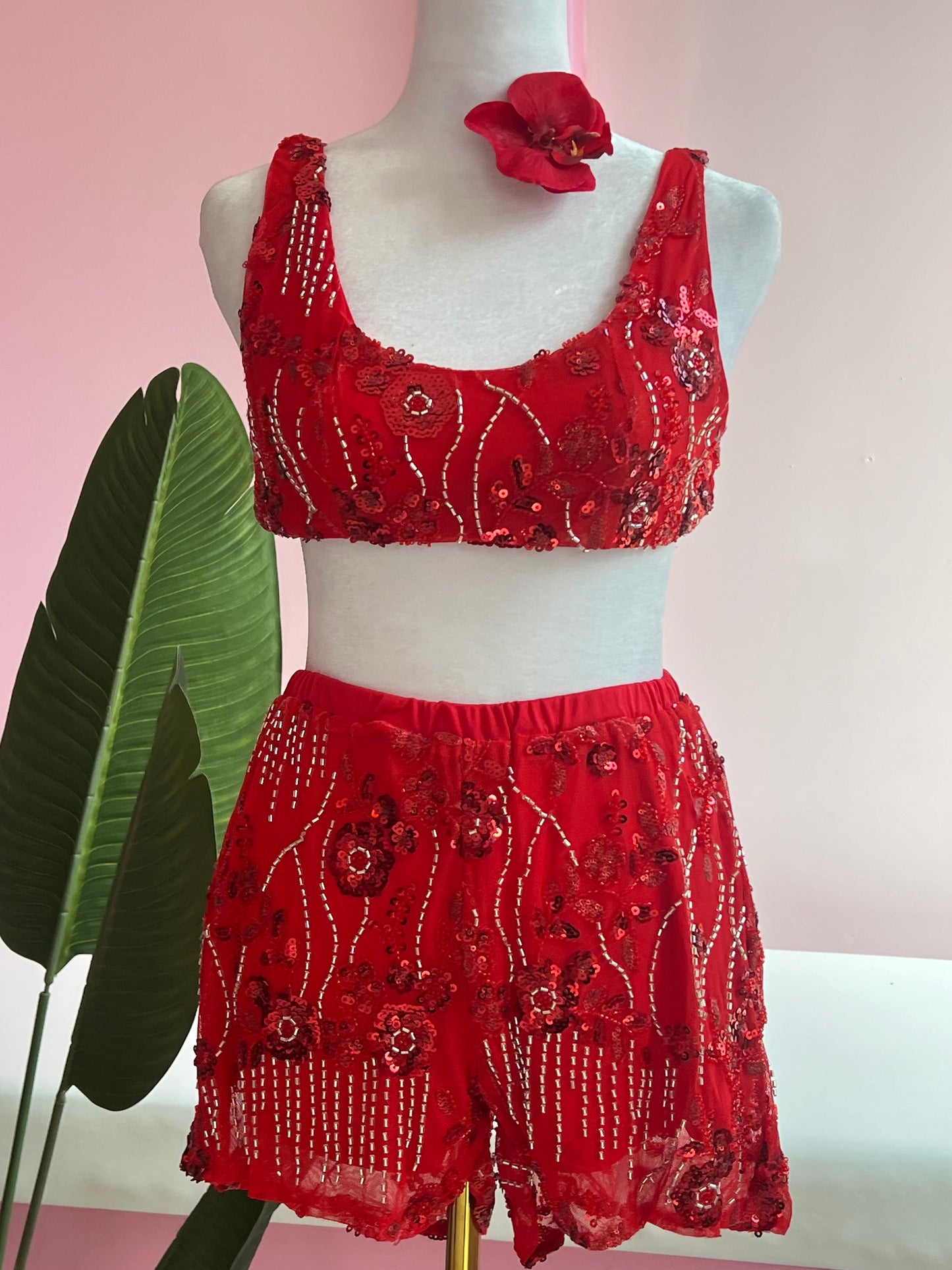 Fancy Cute Top