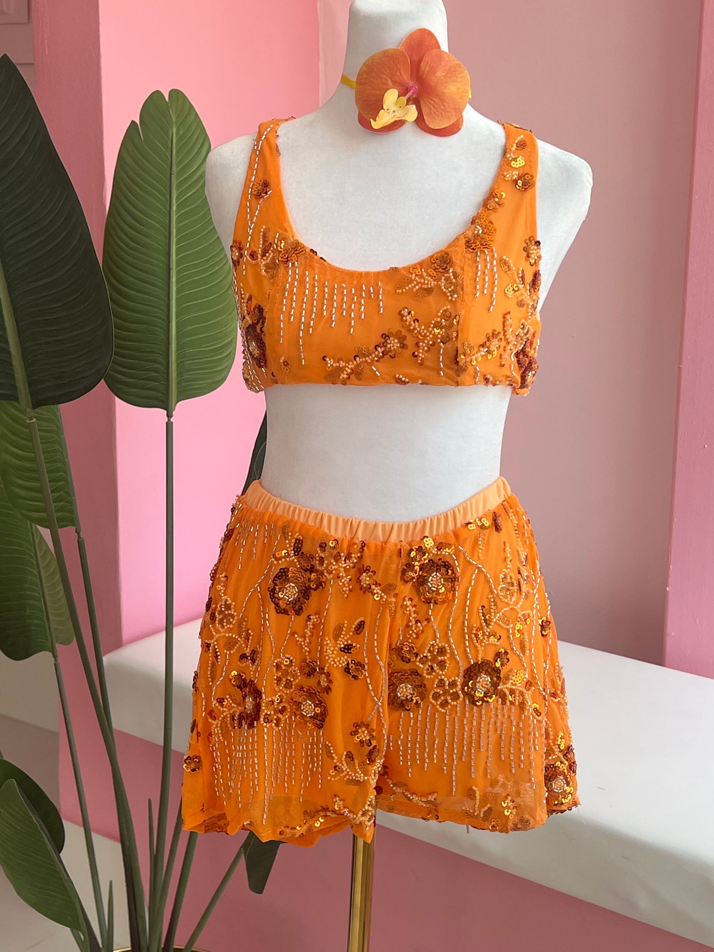 Fancy Cute Top