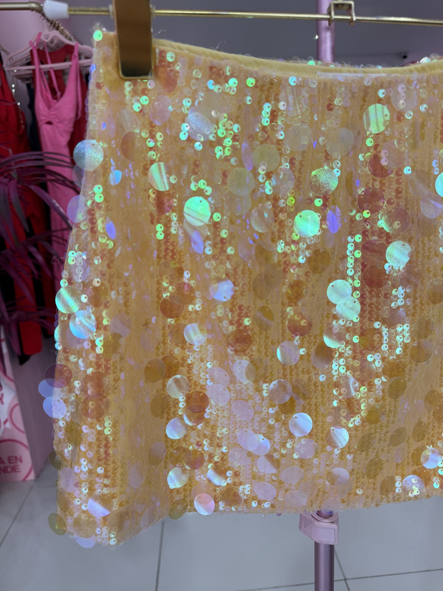 Amarradita Sequins Skirt