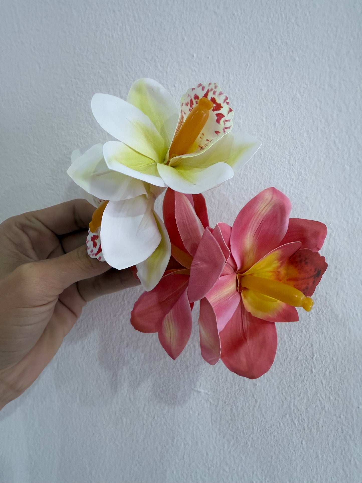Flor Hebilla orquidea