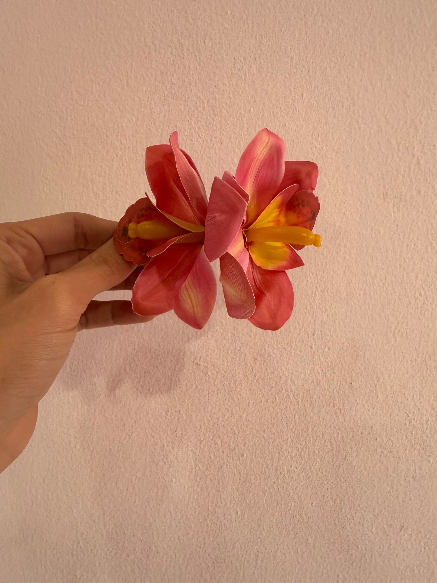 Flor Hebilla orquidea