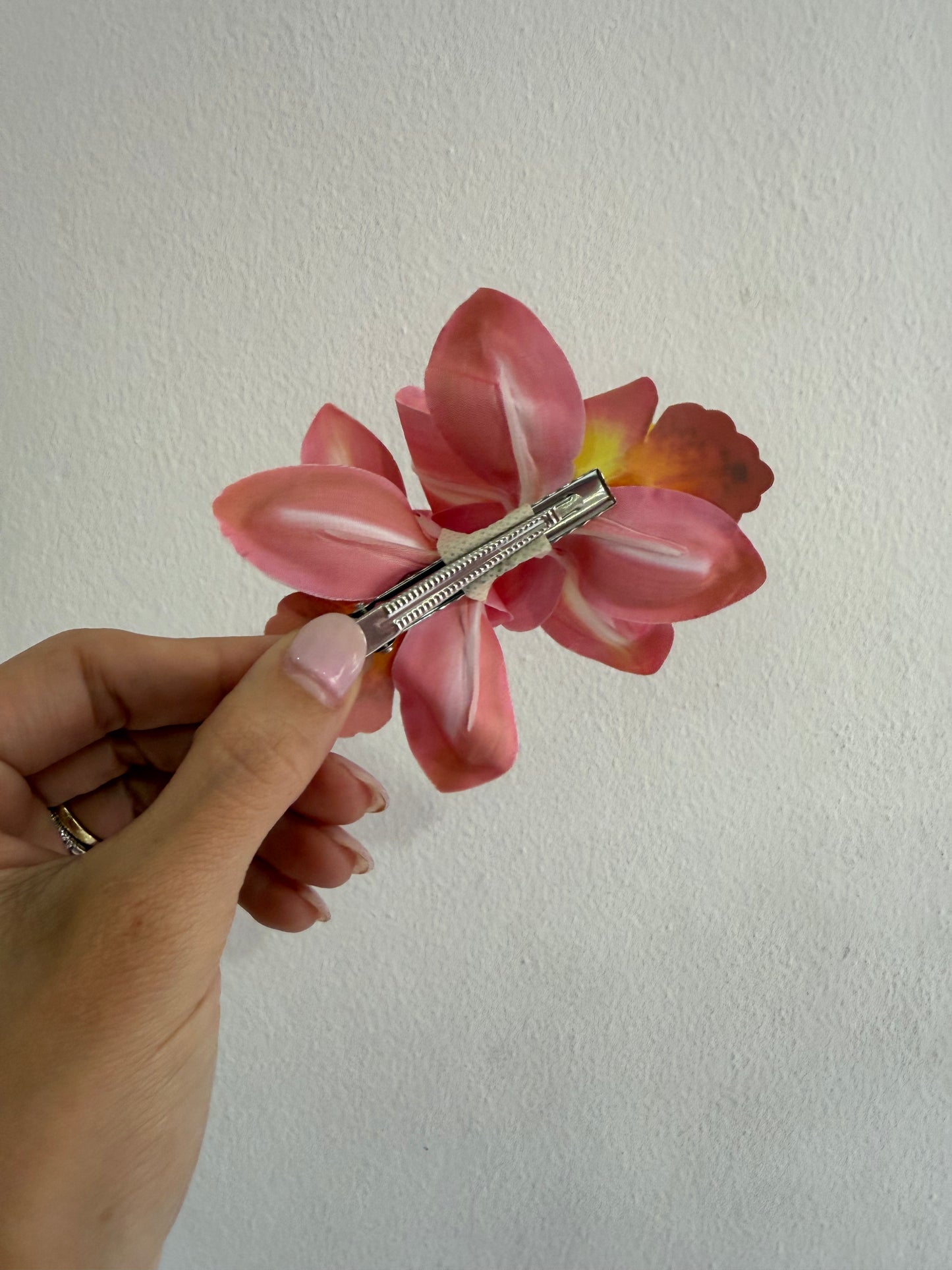 Flor Hebilla orquidea