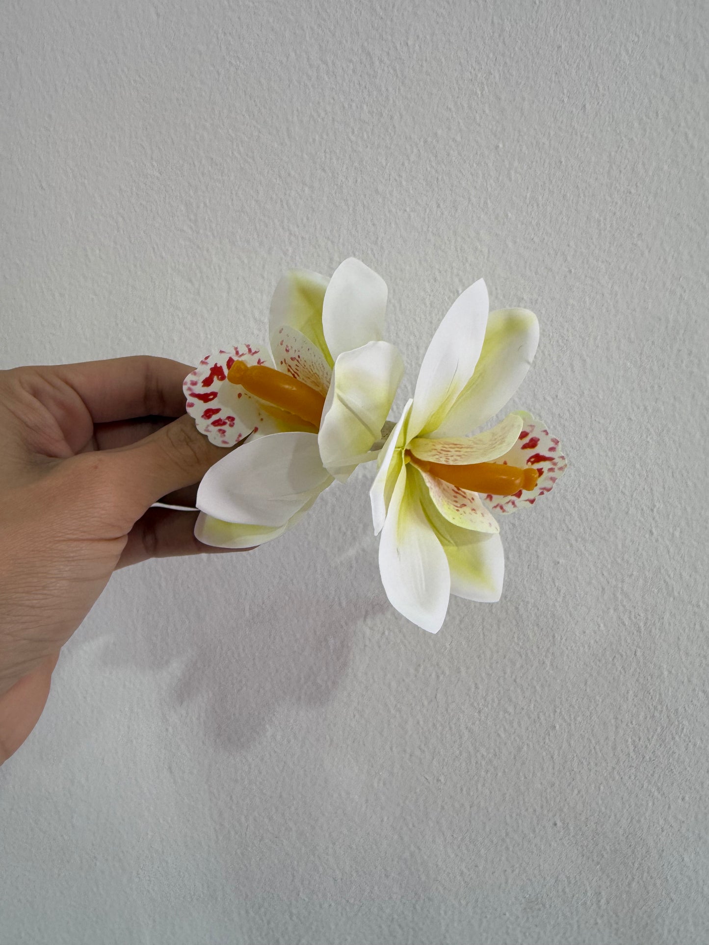 Flor Hebilla orquidea