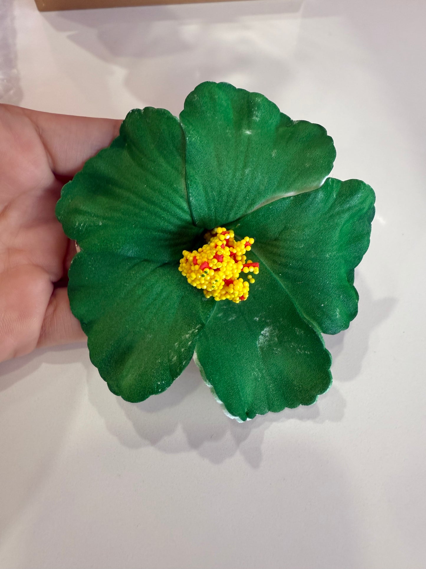 Floripondio Hebilla