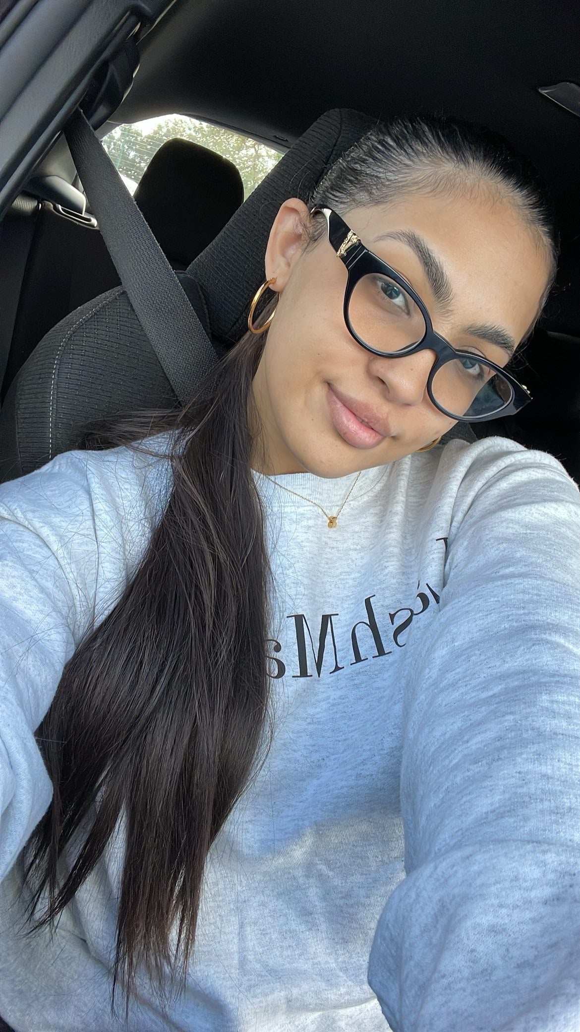 Dark Brown Ponytail
