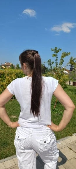 Dark Brown Ponytail