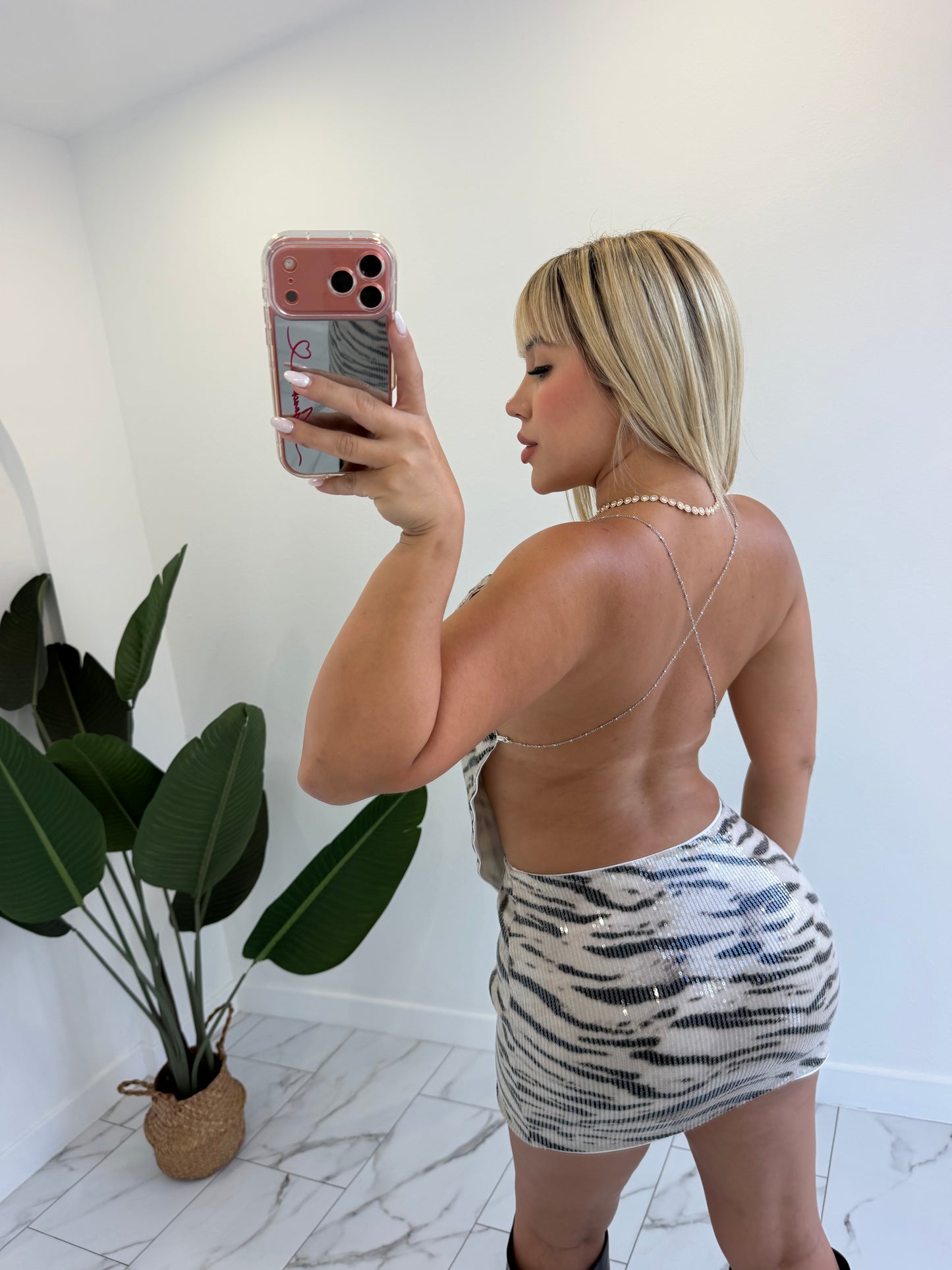 Zebra set
