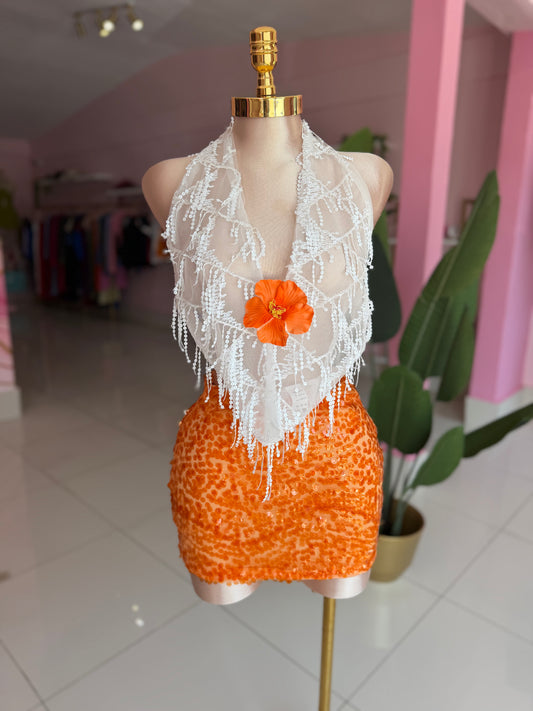 Halter Mesh top