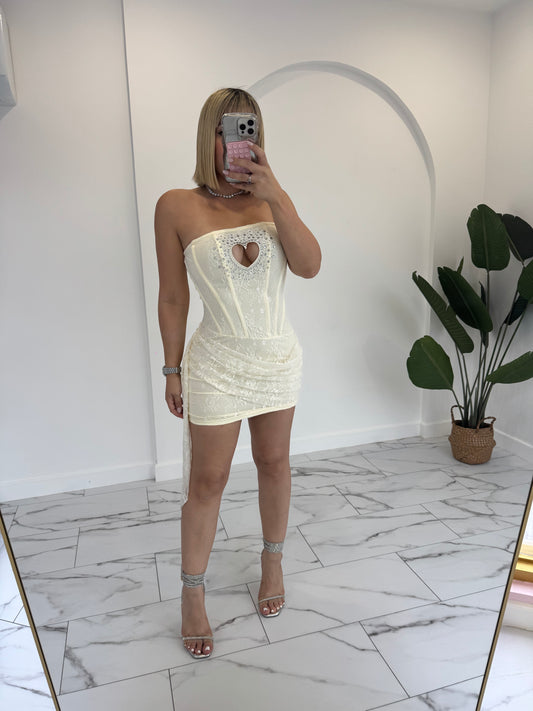 Sabrina Dress large