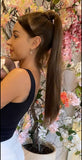 Dark Brown Ponytail