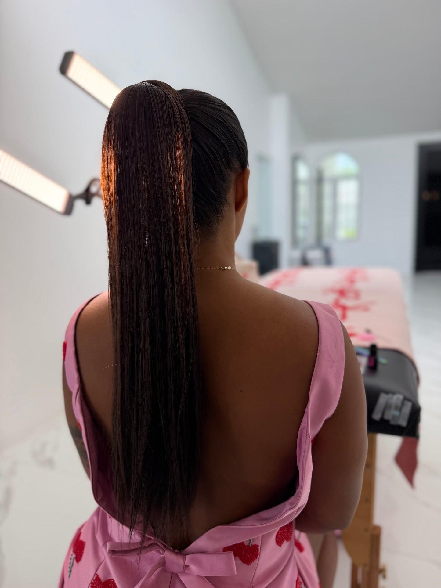 Dark Brown Ponytail