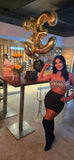 VIP arabe premium top