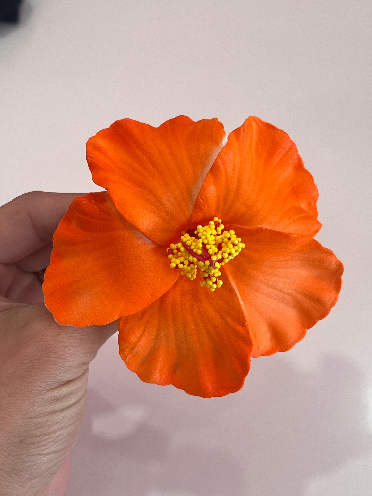 Floripondio Hebilla