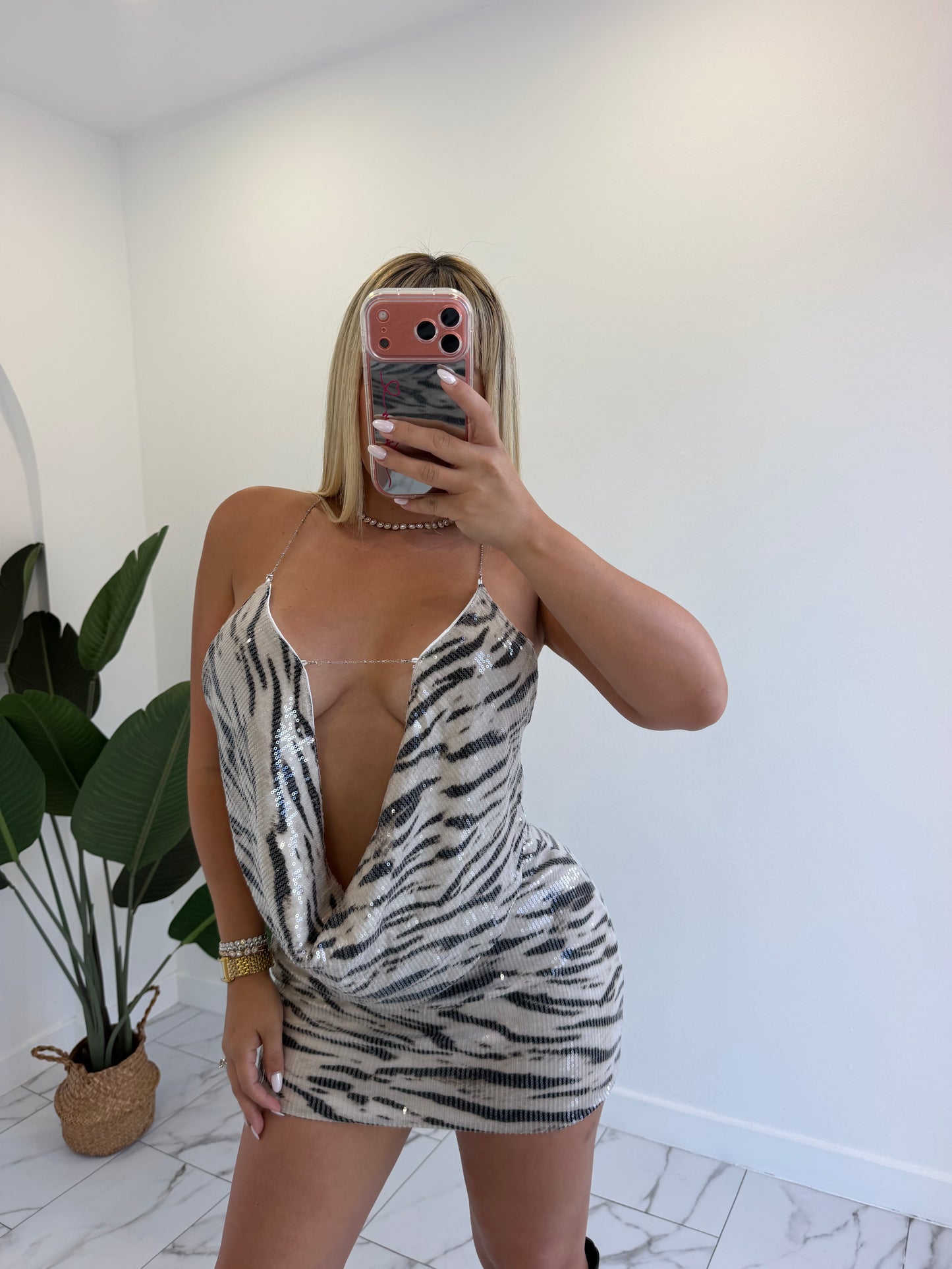 Zebra set