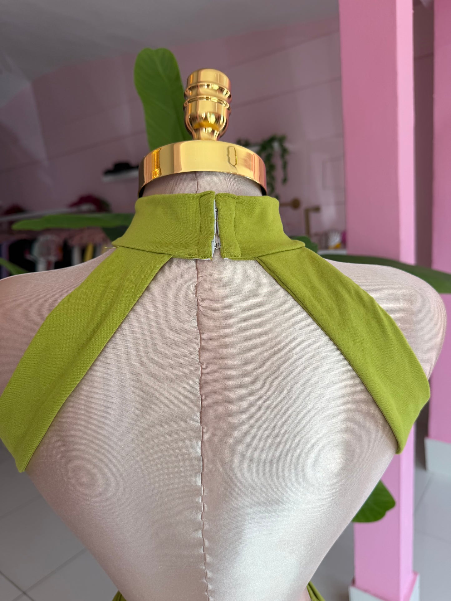 Turtle dress