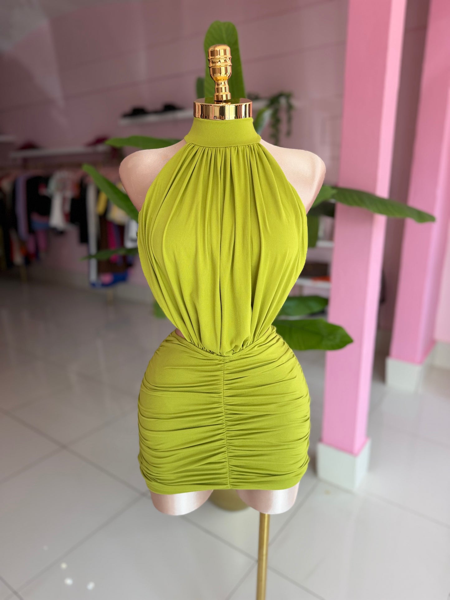 Turtle dress