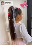 Dark Brown Ponytail