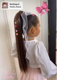 Dark Brown Ponytail