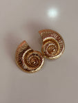 Shell Earrings