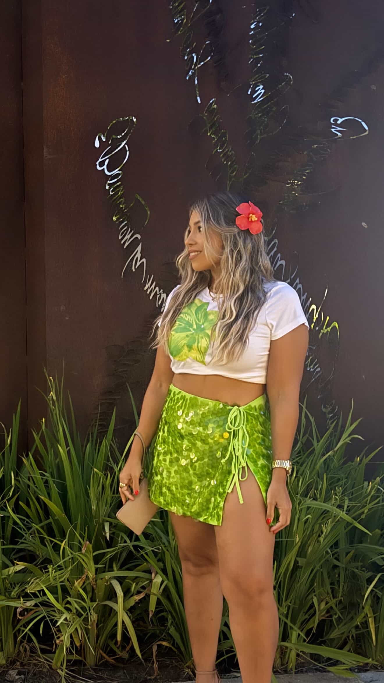Amarradita Sequins Skirt