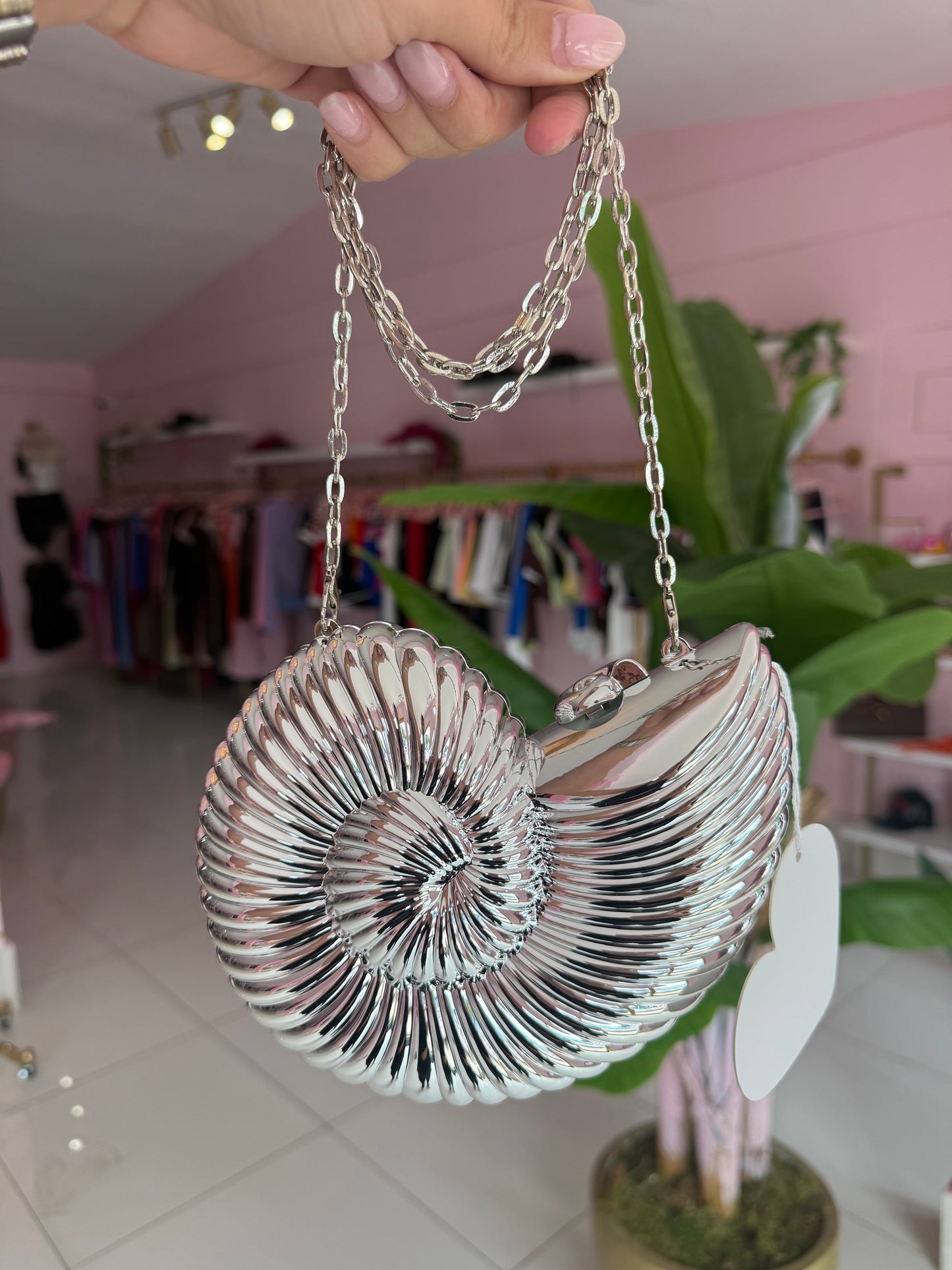 Cartera caracol