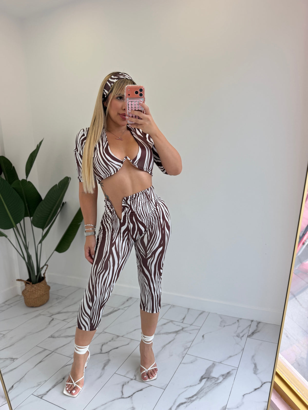 Cebra set