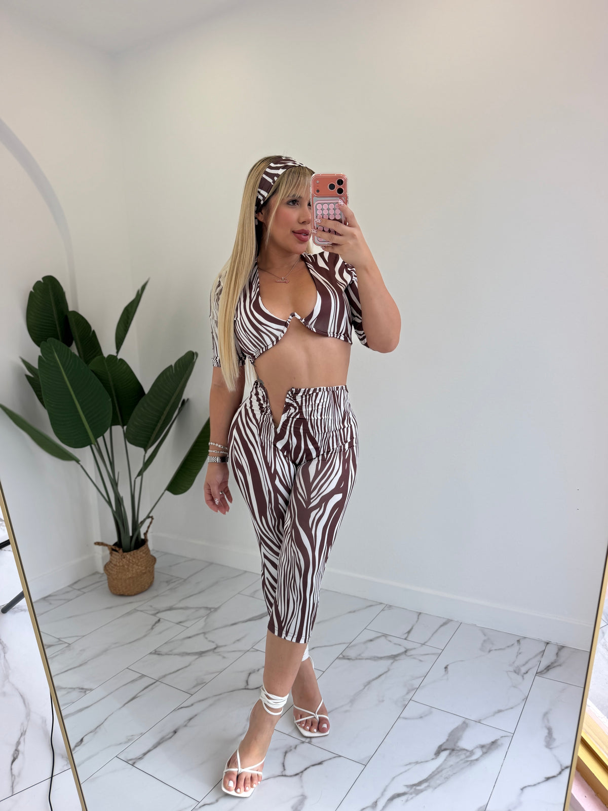 Cebra set
